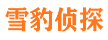 保定市侦探公司